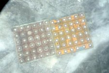 Click image for larger version  Name:	IMG_20160212_160608325_HDR.jpg Views:	1 Size:	29.5 KB ID:	11326