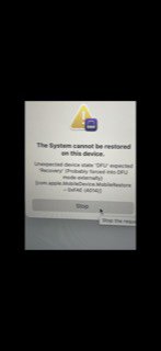BB944E92-BC35-4835-9C48-575754D8824F.jpg