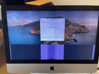 WhatsApp Image 2022-05-03 at 13.14.36.jpeg