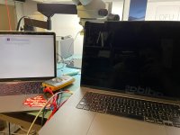 WhatsApp Image 2022-08-15 at 17.19.36.jpeg