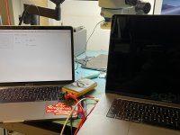 WhatsApp Image 2022-08-15 at 17.19.32.jpeg