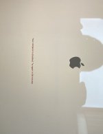 IMG_6201.jpeg