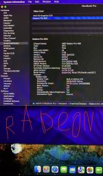 IMG_6207.jpeg
