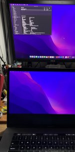 IMG_6210.jpeg