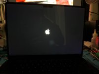 photo_2024-04-09 03.06.26.jpeg