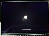 photo_2024-04-09 03.18.29.jpeg