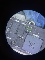 IMG_3596 Large.jpeg IMG_3596 Large.jpeg