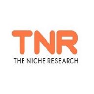 thenicheresearch