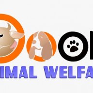 Doon Animal Welfare