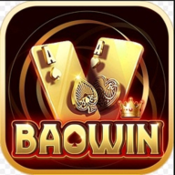 baowin1org