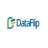 dataflipus
